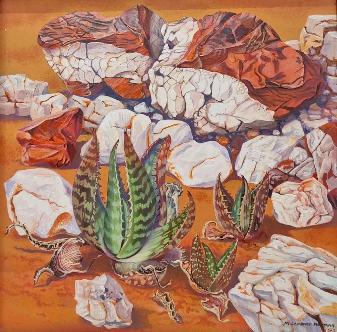 M Lambert Newman - Aloes